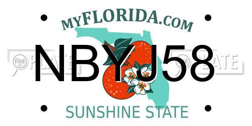 NBYJ58 Florida License Plate
