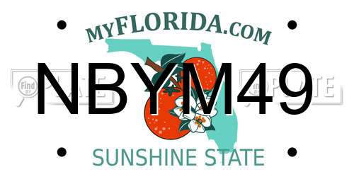 NBYM49 Florida License Plate