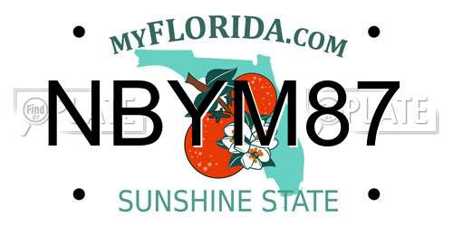 NBYM87 Florida License Plate