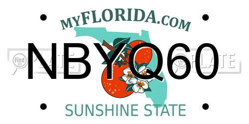 NBYQ60 Florida License Plate