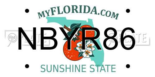 NBYR86 Florida License Plate