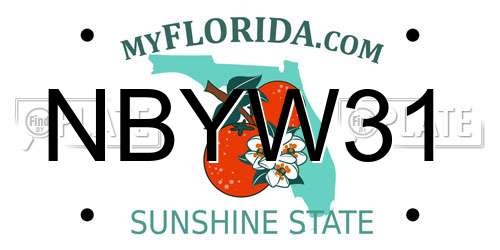 NBYW31 Florida License Plate
