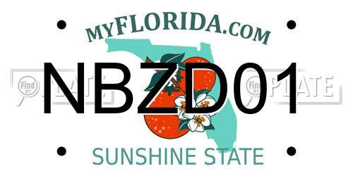 NBZD01 Florida License Plate