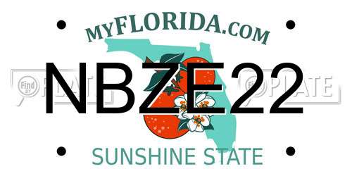 NBZE22 Florida License Plate