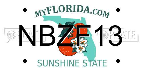NBZF13 Florida License Plate