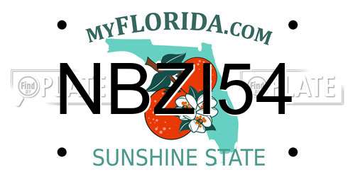 NBZI54 Florida License Plate