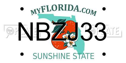 NBZJ33 Florida License Plate
