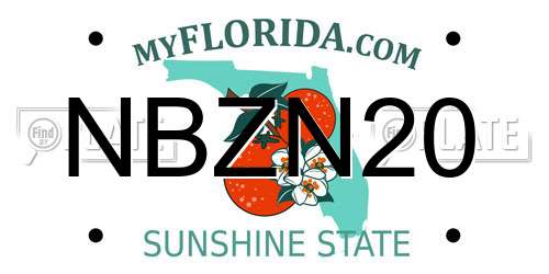 NBZN20 Florida License Plate