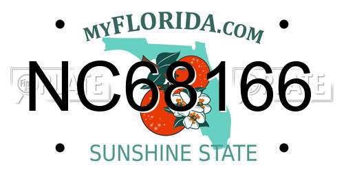 NC68166 Florida License Plate