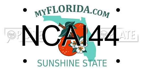NCAI44 Florida License Plate