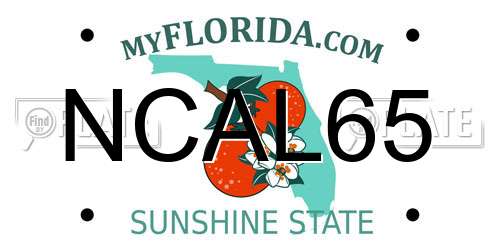 NCAL65 Florida License Plate