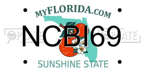 NCBI69 Florida License Plate
