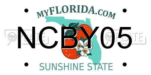 NCBY05 Florida License Plate