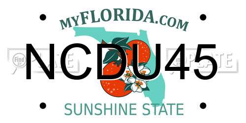 NCDU45 Florida License Plate