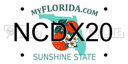 NCDX20 Florida License Plate