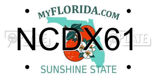 NCDX61 Florida License Plate