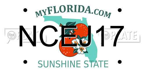 NCEJ17 Florida License Plate