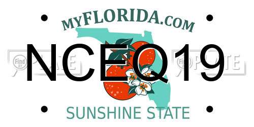 NCEQ19 Florida License Plate