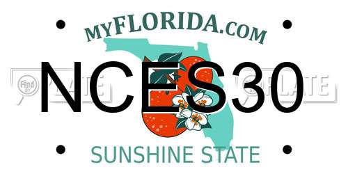 NCES30 Florida License Plate