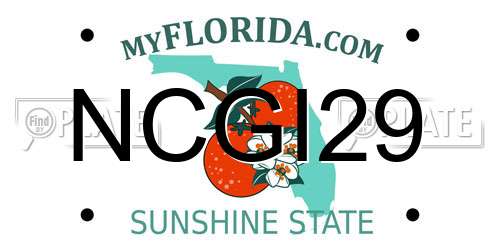 NCGI29 Florida License Plate