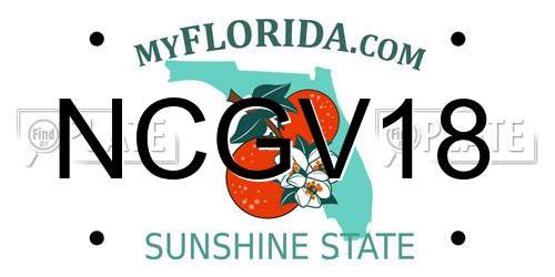 NCGV18 Florida License Plate