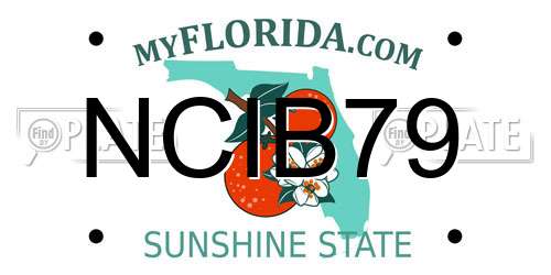 NCIB79 Florida License Plate