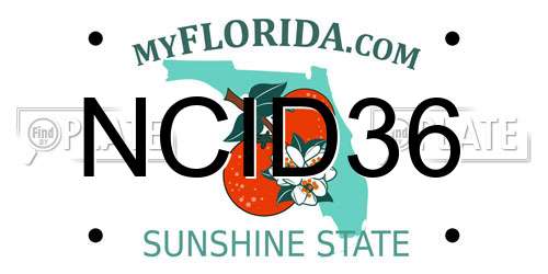 NCID36 Florida License Plate