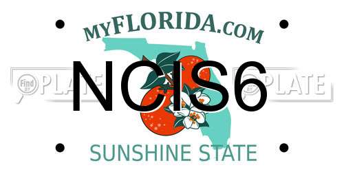 NCIS6 Florida License Plate