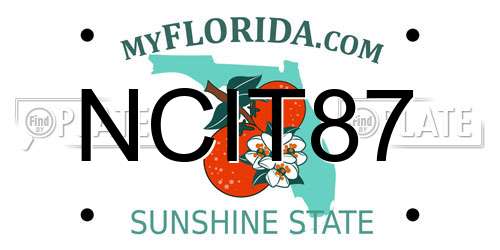 NCIT87 Florida License Plate