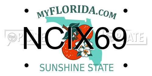 NCIX69 Florida License Plate
