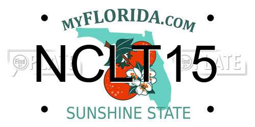 NCLT15 Florida License Plate