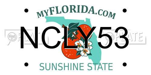 NCLY53 Florida License Plate