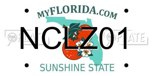 NCLZ01 Florida License Plate