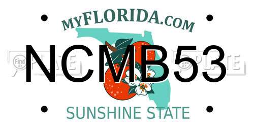 NCMB53 Florida License Plate