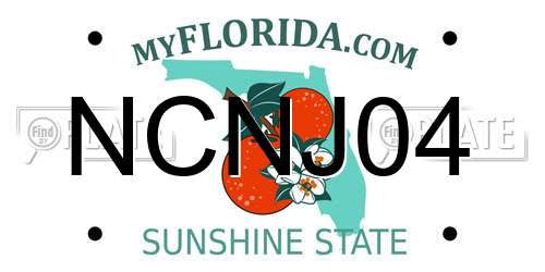 NCNJ04 Florida License Plate