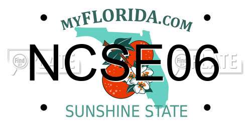 NCSE06 Florida License Plate