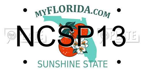 NCSP13 Florida License Plate