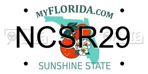 NCSR29 Florida License Plate