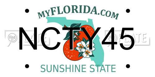 NCTY45 Florida License Plate