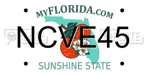 NCVE45 Florida License Plate