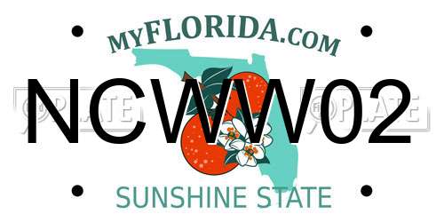 NCWW02 Florida License Plate