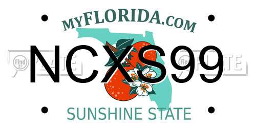 NCXS99 Florida License Plate