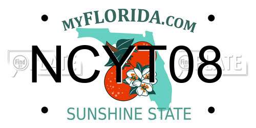 NCYT08 Florida License Plate