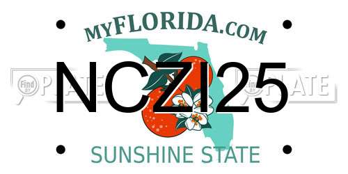 NCZI25 Florida License Plate