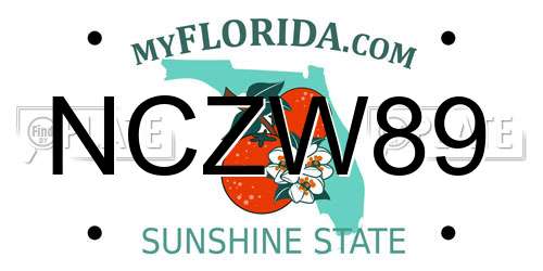 NCZW89 Florida License Plate