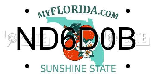 ND6D0B Florida License Plate