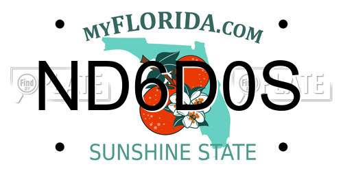 ND6D0S Florida License Plate