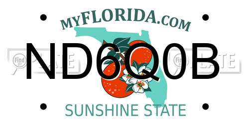 ND6Q0B Florida License Plate