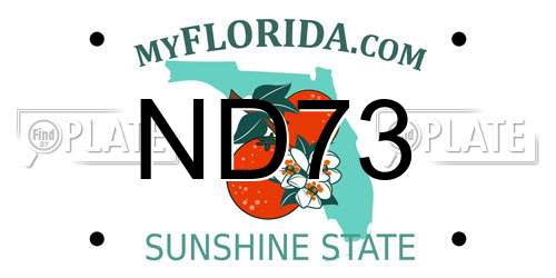 ND73 Florida License Plate