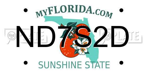 ND7S2D Florida License Plate